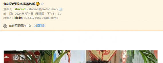 image-20240708021232887