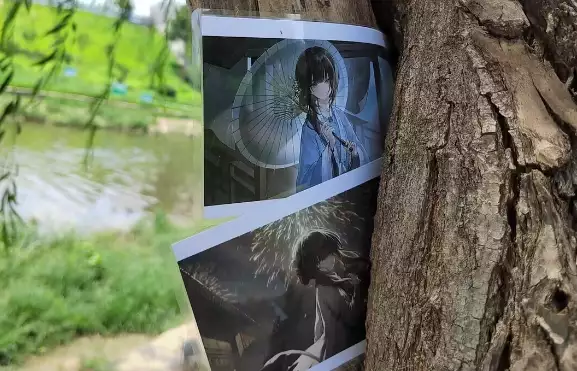 image-20240801163529928