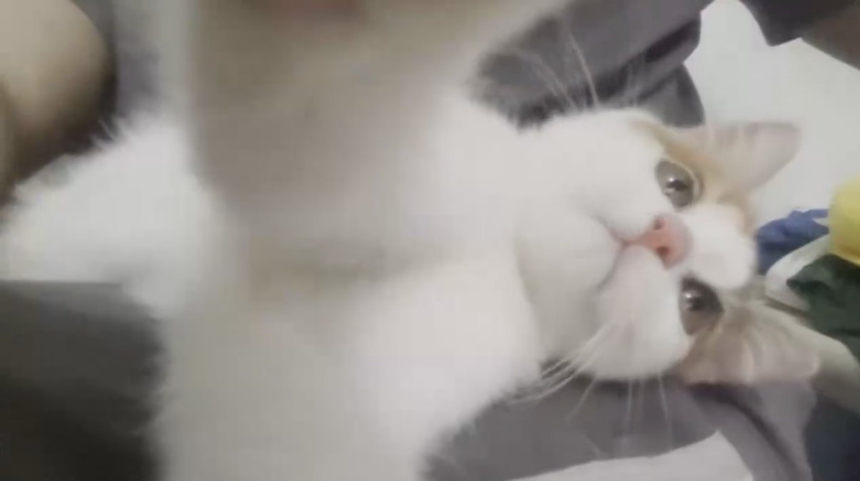 image-20250501181626356